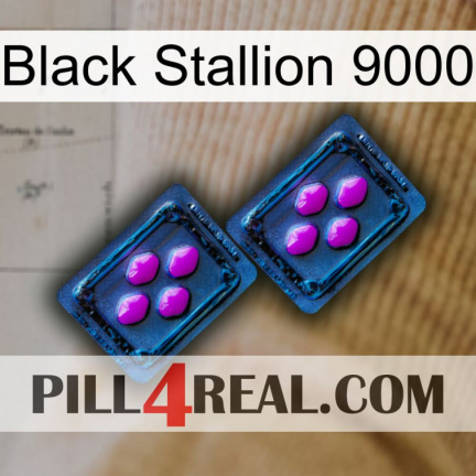Black Stallion 9000 03